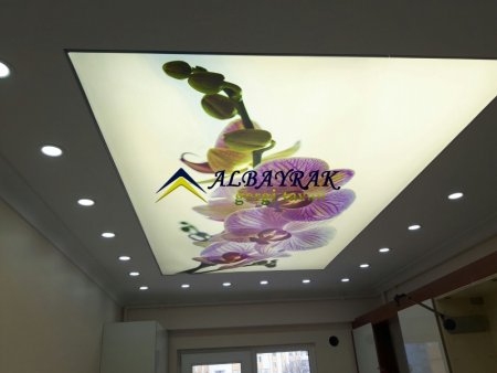 gergi tavan, bursa gergi tavan pvc, kumaş, mat gergi tavan, saten gergi tavan, lake gergi tavan, şeffaf gergi tavan, tek katmanlı, iki katmanlı gergi tavan, gergi tavan doku, gergi tavan malzemesi, gergi tavan montajı, gergi tavan tasarımı, gergi tavan mo