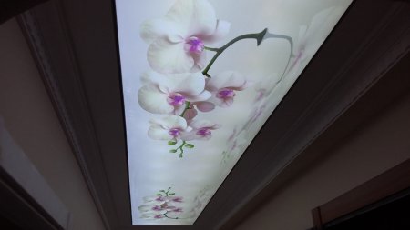 gergi tavan, germe tavan, gergili tavan, stretch ceiling, gergi tavan montaj, gergi tavan malzeme, gergi tavan fiyat, pvc, polyester, barrisol, gergi tavan model, uv baskı, akustik gergi tavan