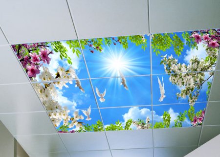 gökyüzü panel,gökyüzü panel tavan,gökyüzü led panel tavan,gergi tavan