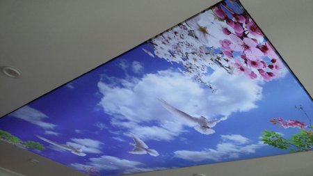 gergi tavan suyunu boşaltılması, gergi tavan, montaj, bakım, onarım, malzeme, fiyat