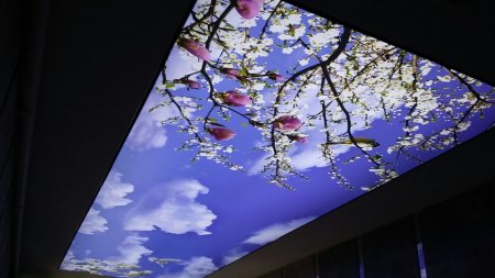 gergi tavan, germe tavan, streç tavan, burdur gergi tavan, gerrgi tavan model, gergi tavan malzeme, kumaş gergi tavan, pvc gergi tavan, barrisol, m2 fiyat.