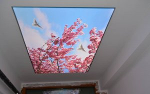 GERGİ TAVAN GENEL ÖZELLİKLERİ