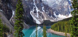 Gergi tavan mı düşünüyorsunuz?