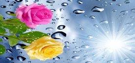 eğlence merkezlerinde gergi tavan