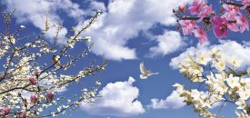 yüksek kalitede gergi tavan üretimi