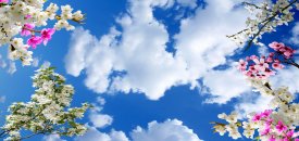 Gergi tavan ömrü ne kadardır?