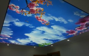 İstanbul gergi tavan üretim merkezi.