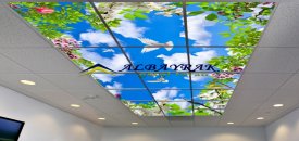 Gergi Tavanı Keşfedin Gergi Tavan Modelleri Burdur